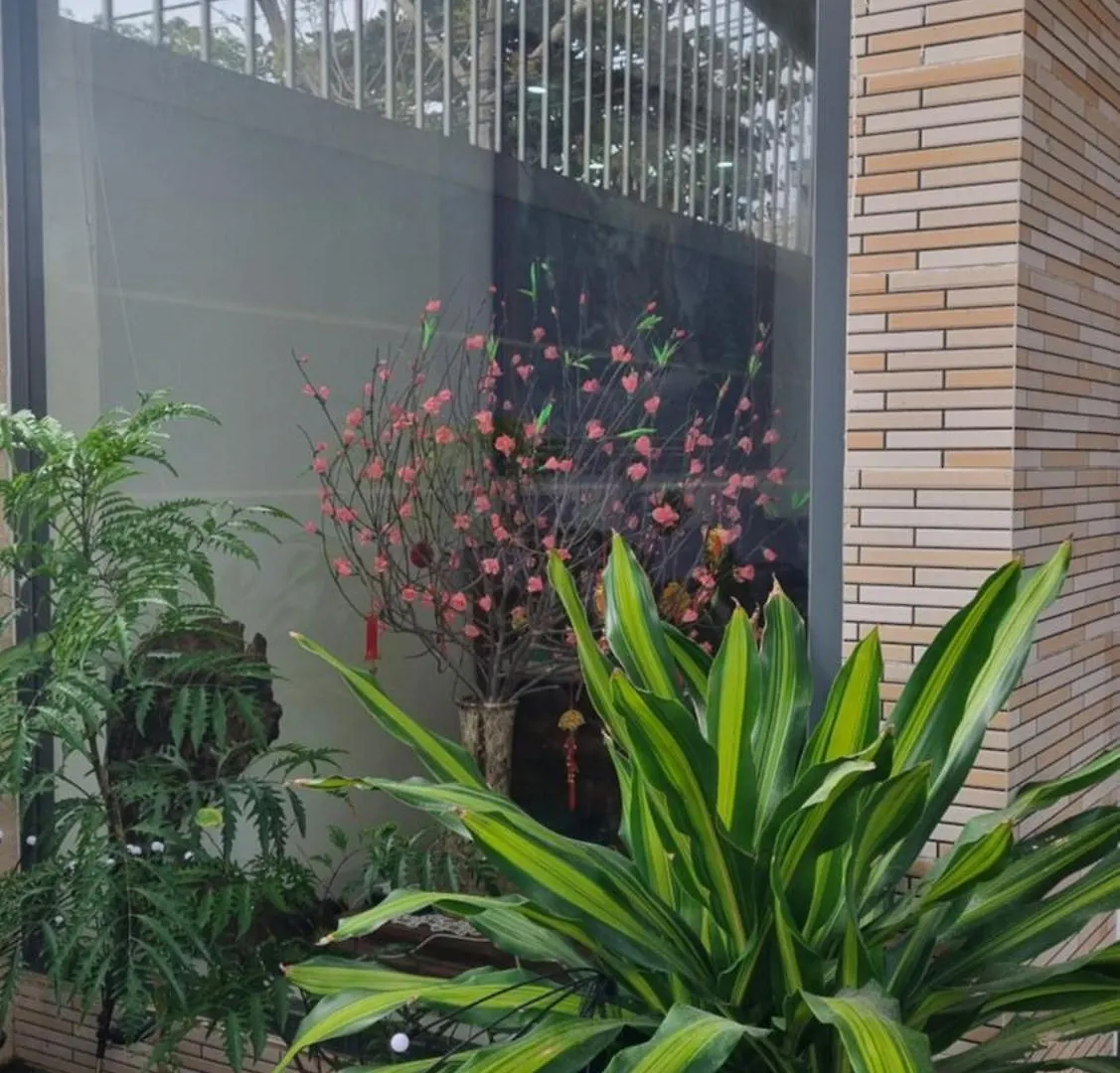 Anton Studio 1 Da Nang